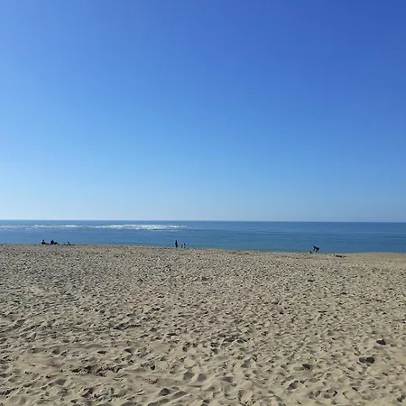 230m De La Plage, Pour 4 Avec Loggia * Plage-des-Demoiselles